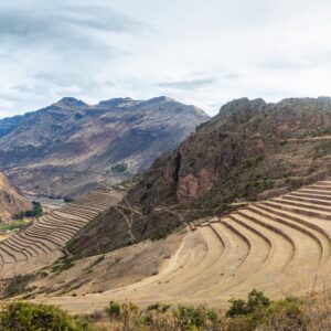 MARAS MORAY
