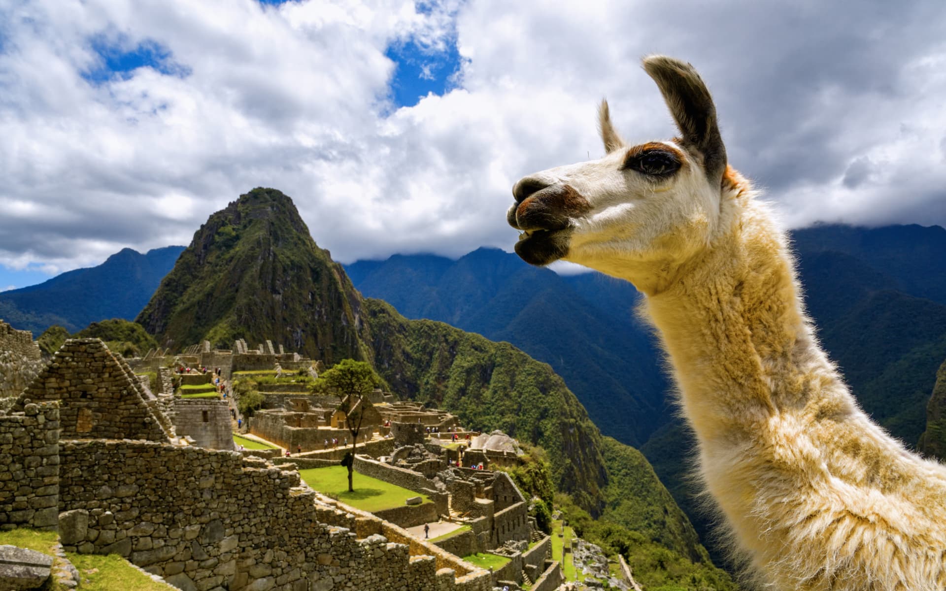 full day machu picchu tour