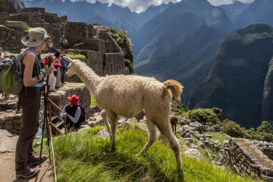 Machu Picchu