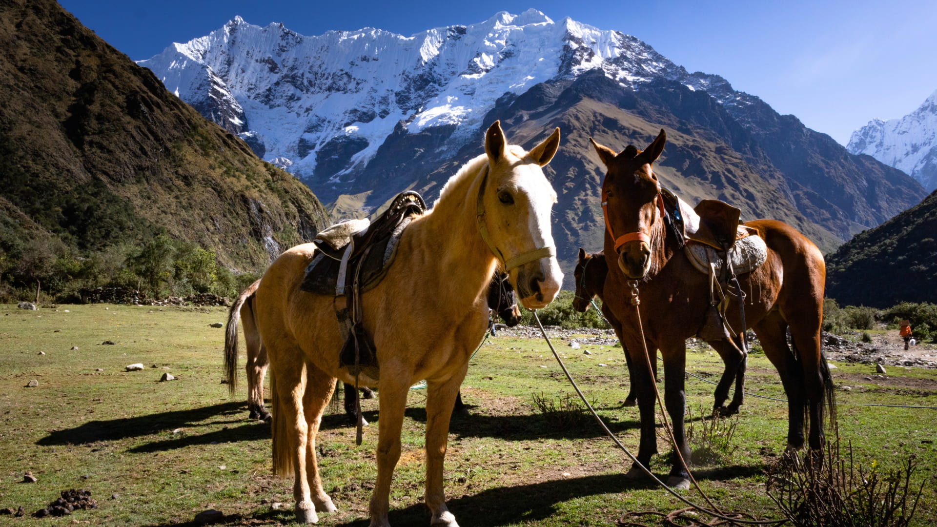 Tour a caballo en Chacan y templo de la Luna