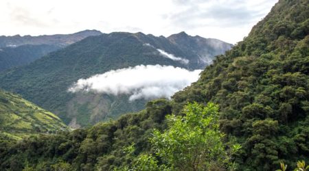 Bosque Nuboso La Playa
